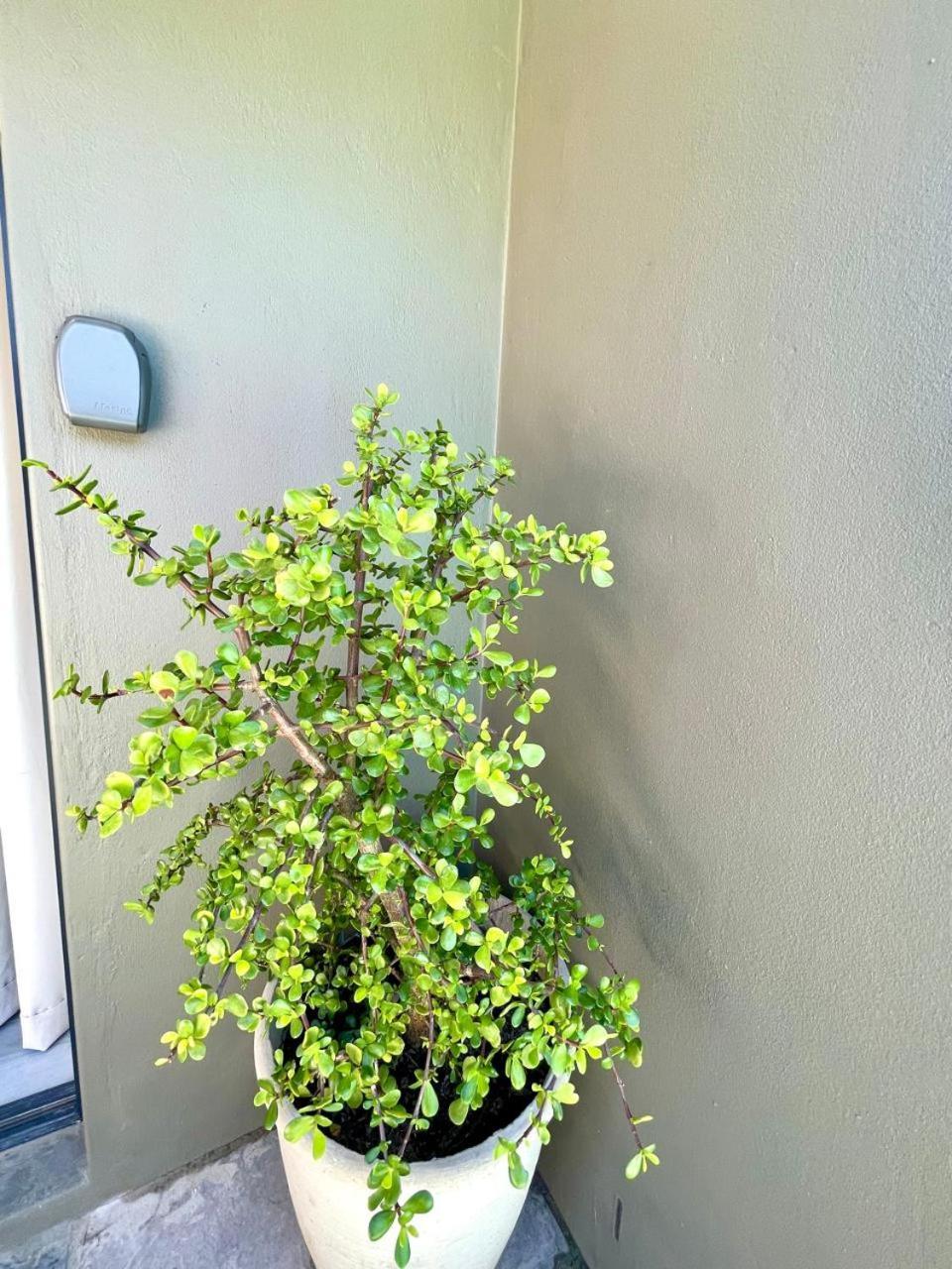 Apartamento Tehillah On Boom Bothasig Exterior foto